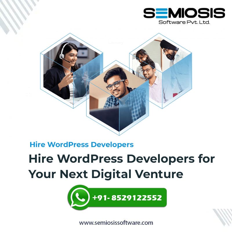 Hire WordPress Developers