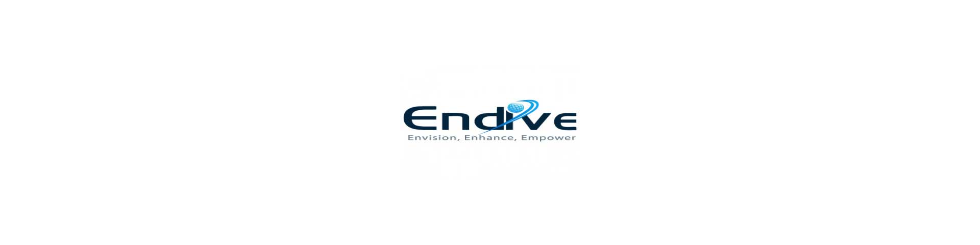 Endive Software