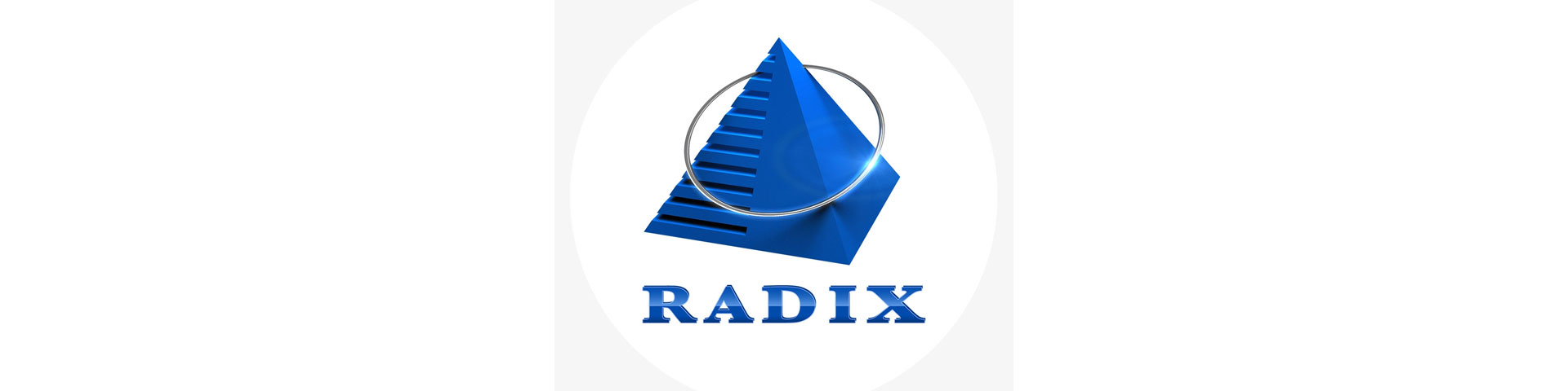 Radixweb