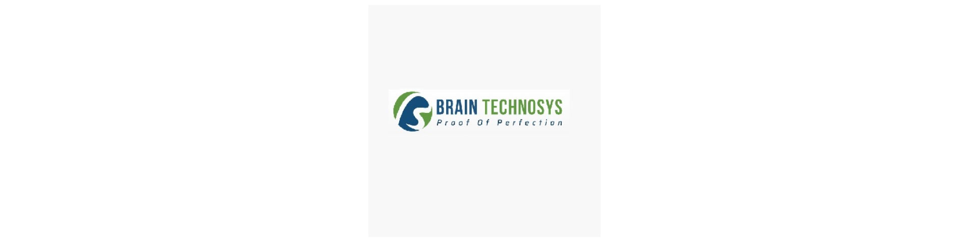 Brain Technosys Pvt. Ltd.